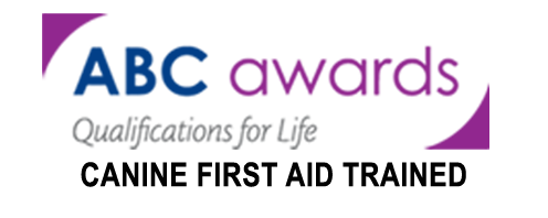 Joanne and Bella Hiking Hounds Sussex